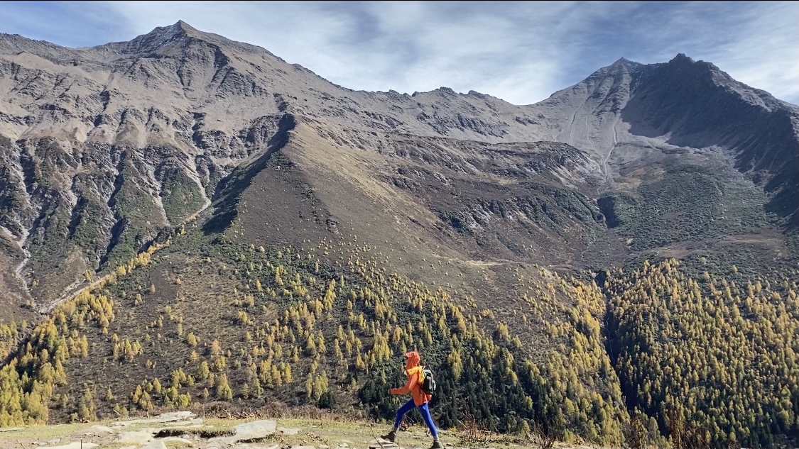 昨日智能推广专业化打造您的直播商城,让推广更智能更高效尊界S800内饰太尊了